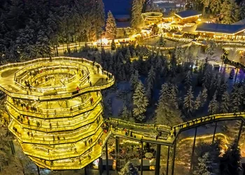 Glaskunst und Wald-Wipfel-Weihnacht im Bayrischen Wald