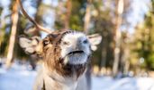 © Klaus Hansen Fotografie